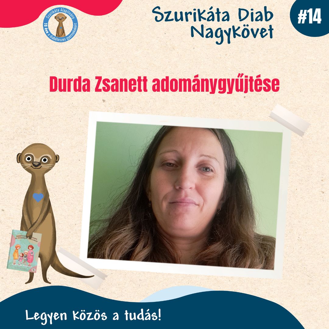 Diab Nagykövetek adománygyűjtése #14
