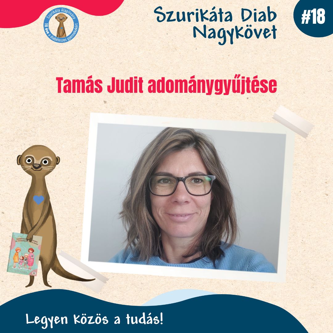 Diab Nagykövetek adománygyűjtése #18