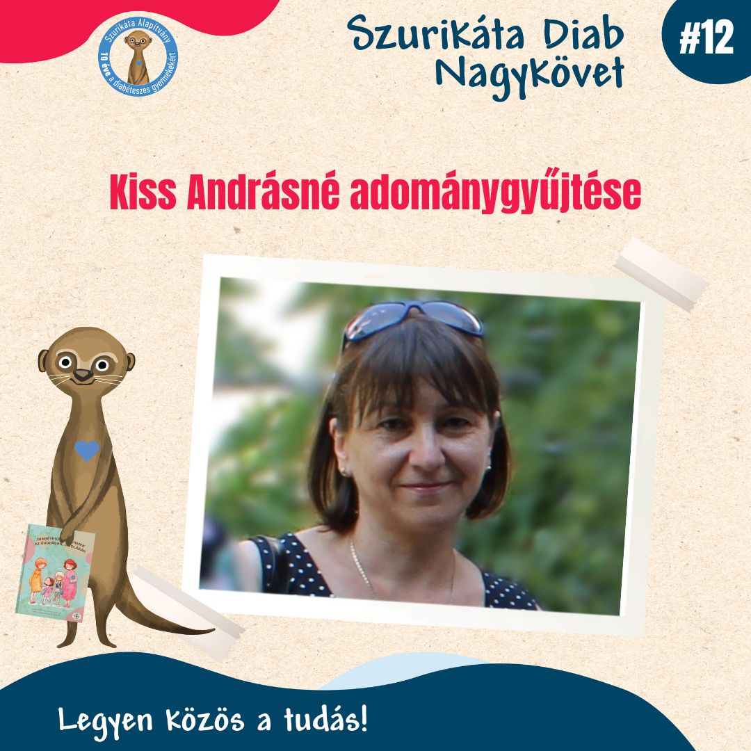 Diab Nagykövetek adománygyűjtése #12