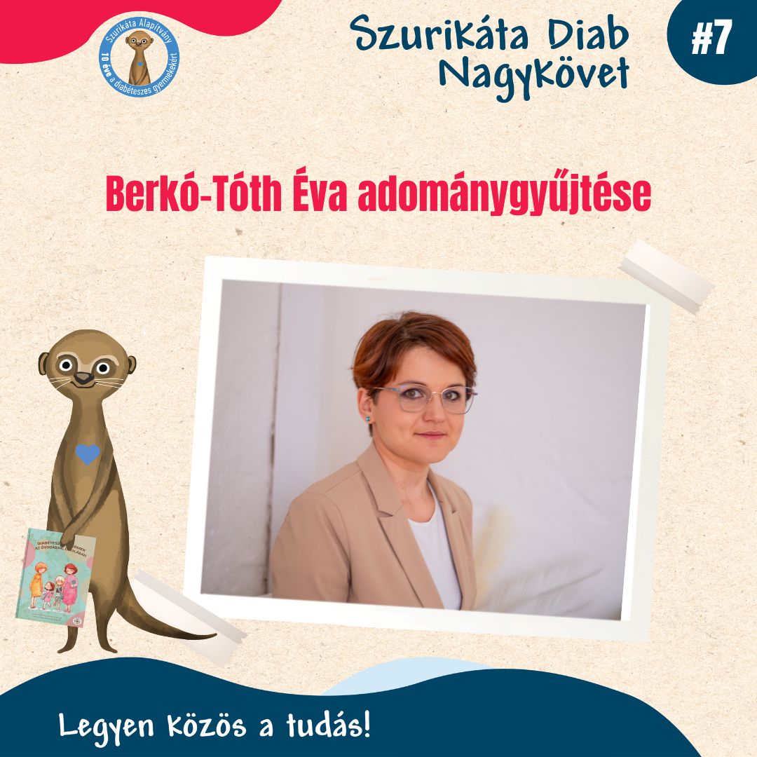 Diab Nagykövetek adománygyűjtése #7