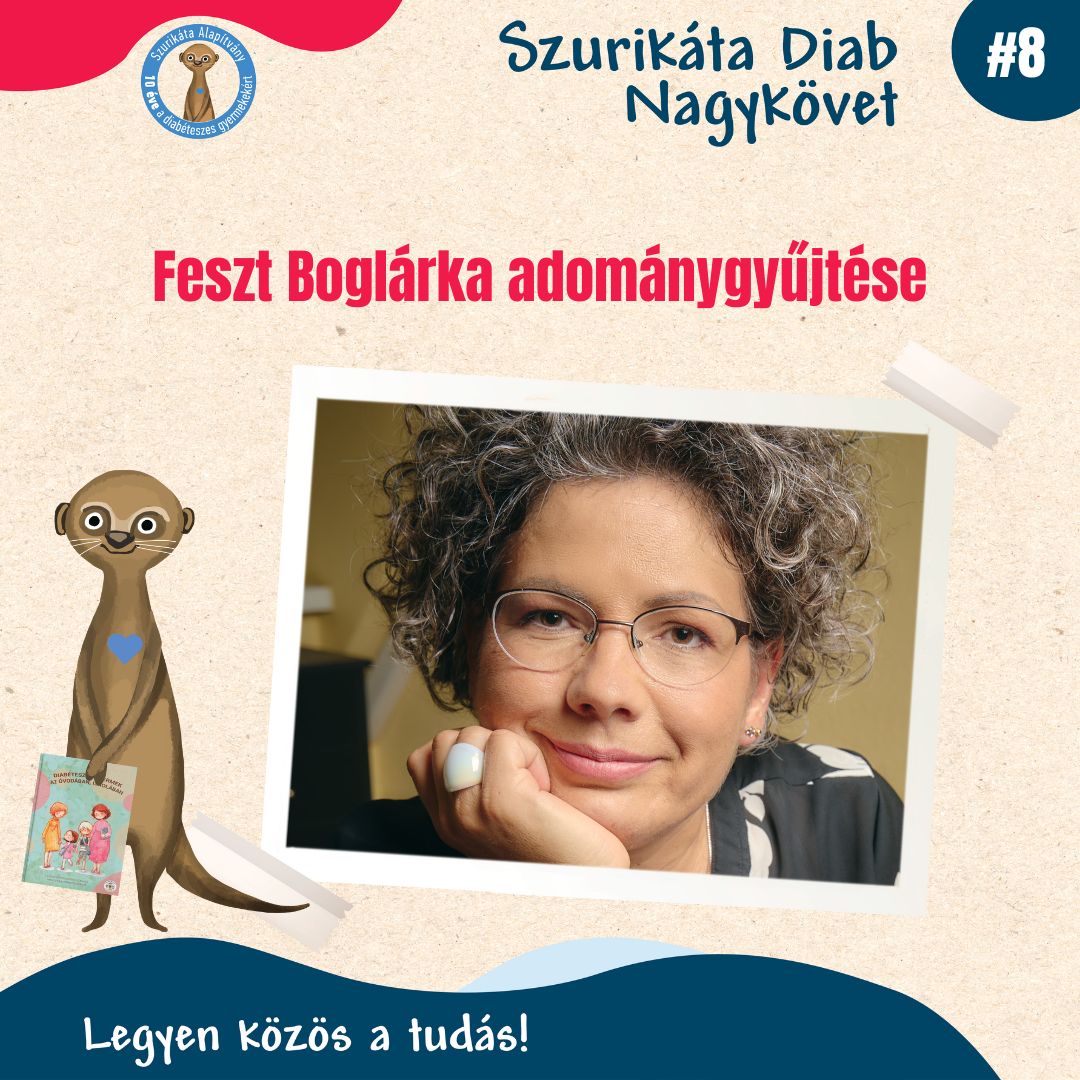Diab Nagykövetek adománygyűjtése #8