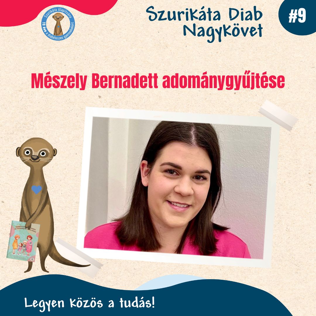 Diab Nagykövetek adománygyűjtése #9
