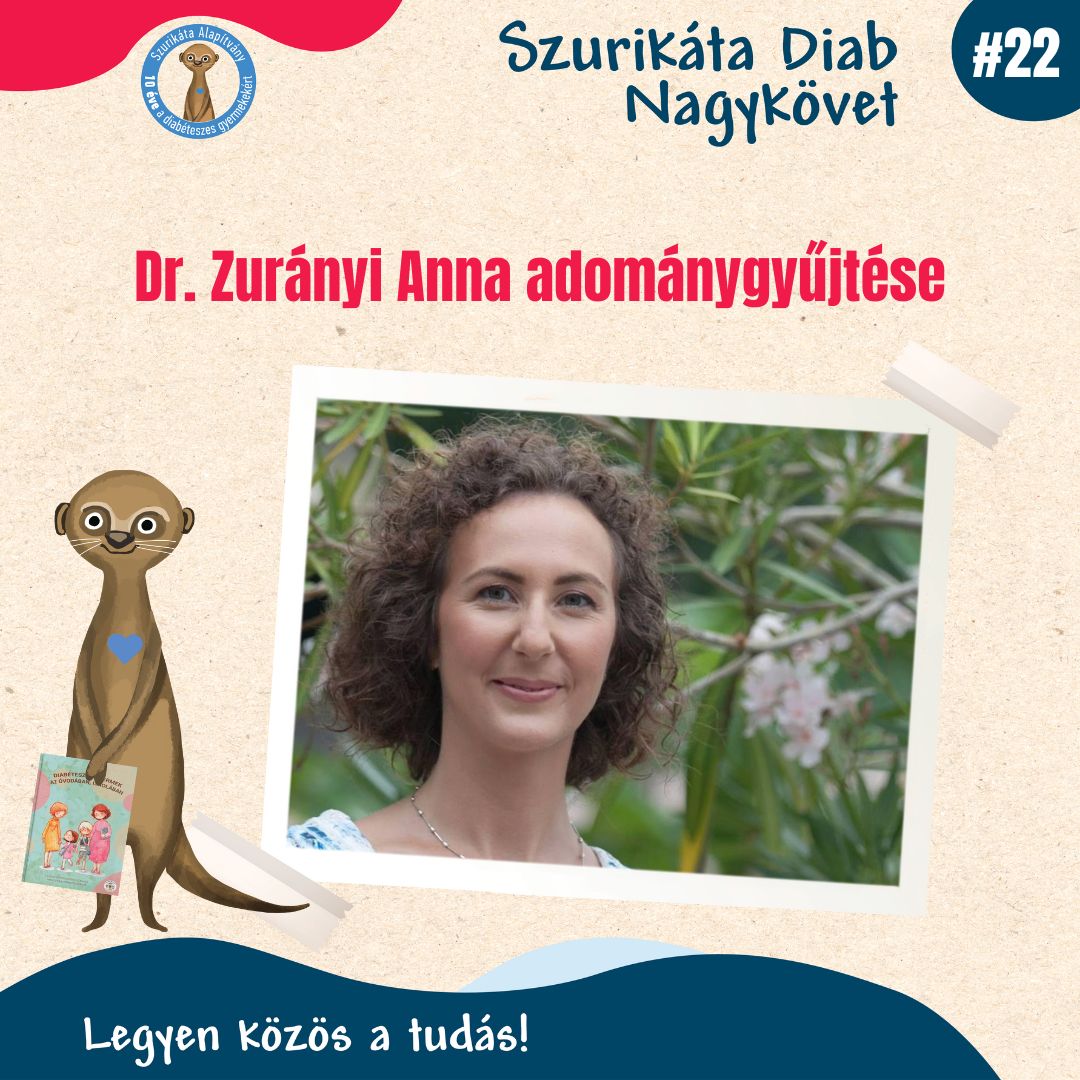 Diab Nagykövetek adománygyűjtése #46