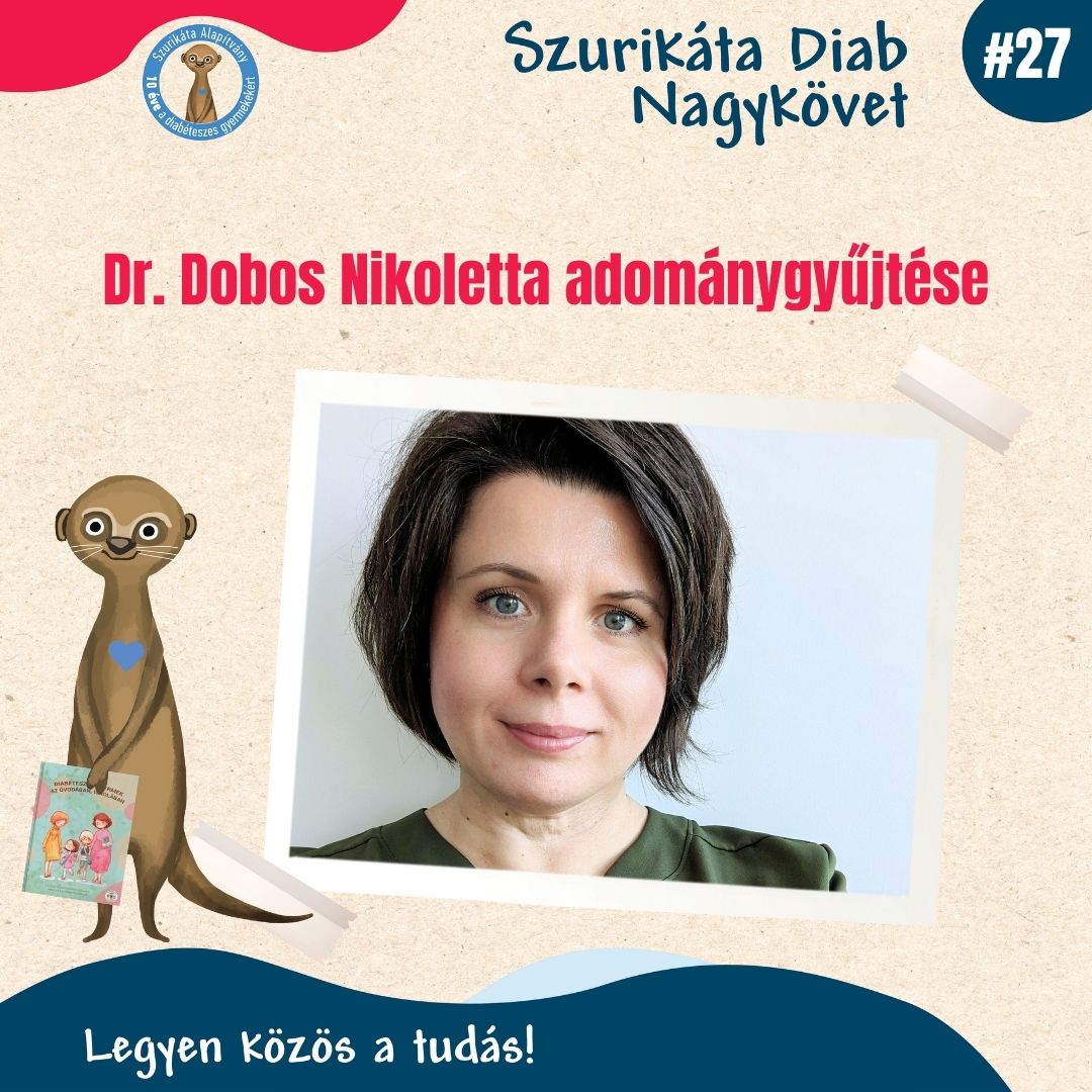Diab Nagykövetek adománygyűjtése #27