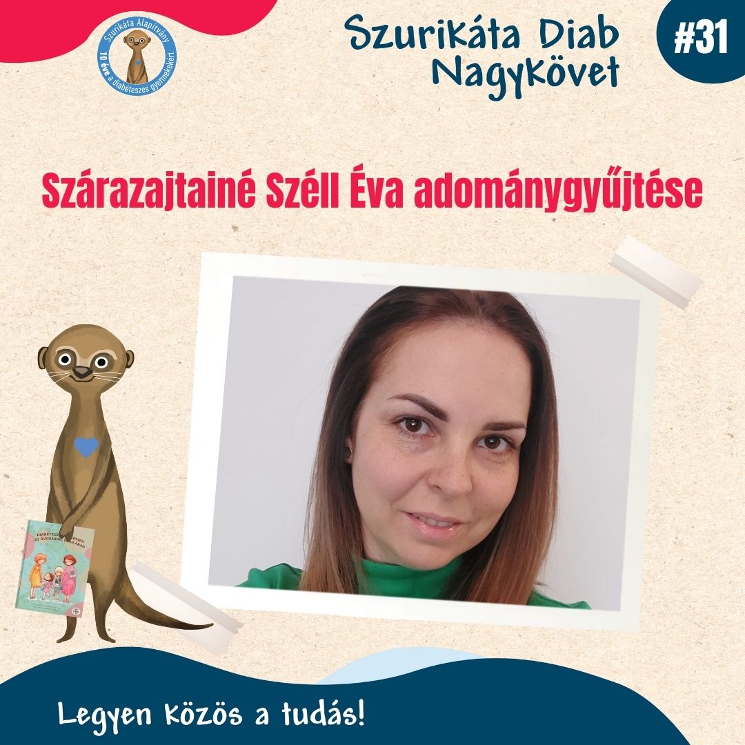 Diab Nagykövetek adománygyűjtése #31