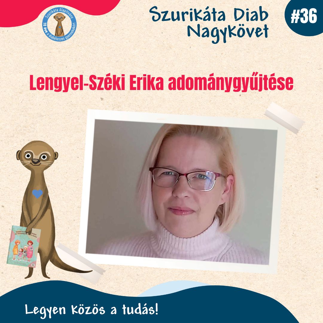 Diab Nagykövetek adománygyűjtése #36